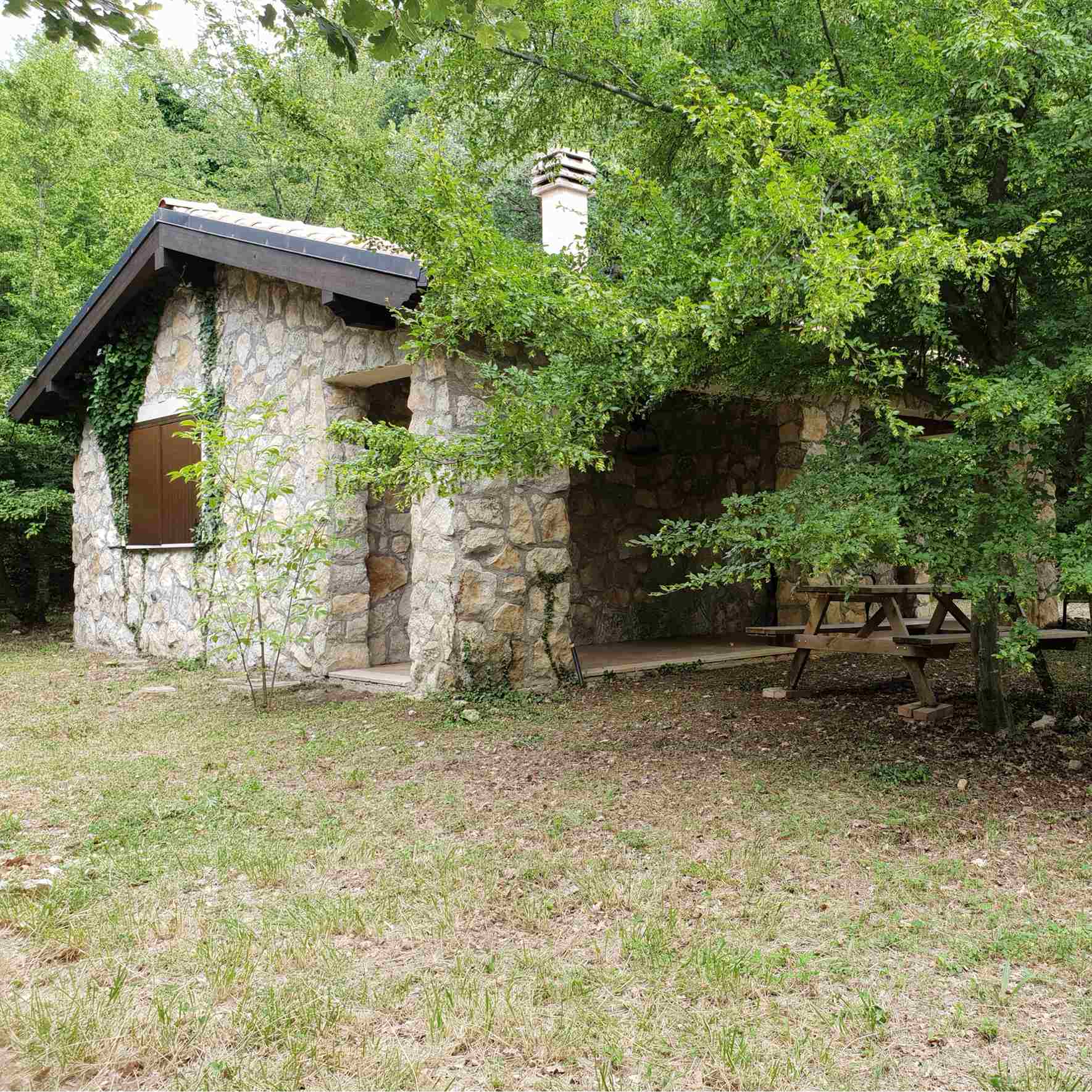 La Ginestra