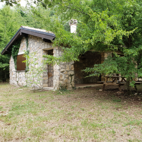 ginestra0
