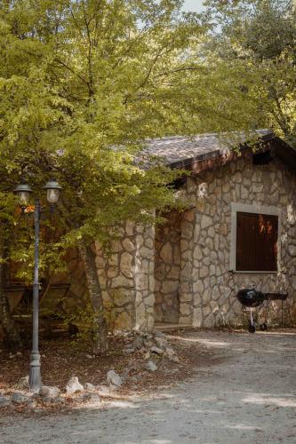 ginestra1