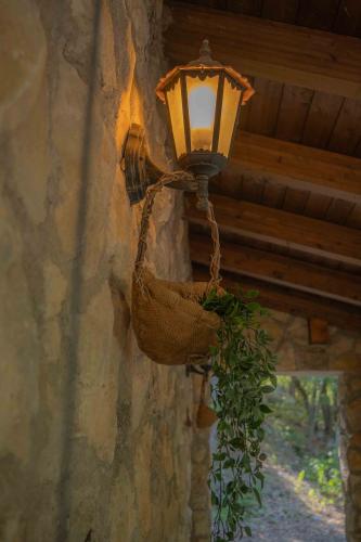 ginestra3