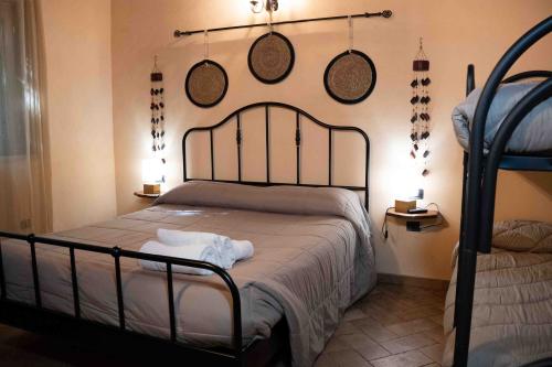 ginestra6
