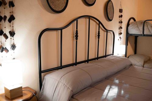 ginestra7