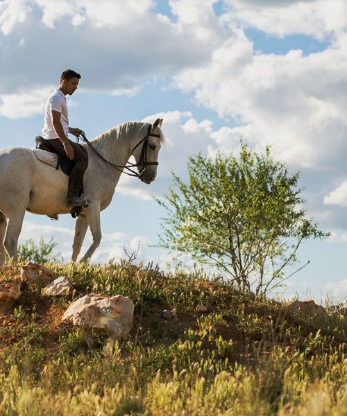 escursioni-cavallo